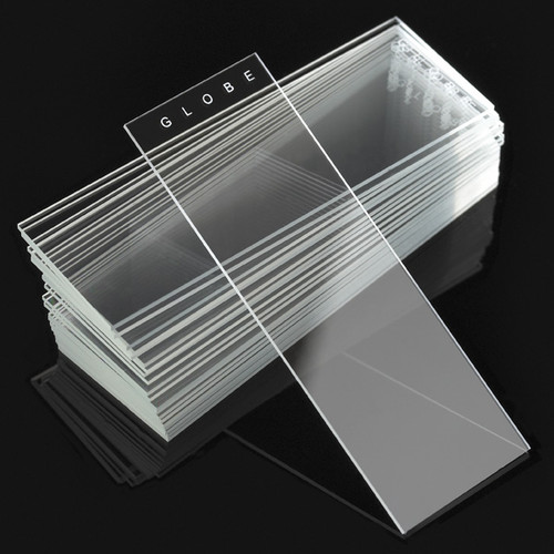 Plain Microscope Slides, White Glass, Beveled Edges & Clipped Corners