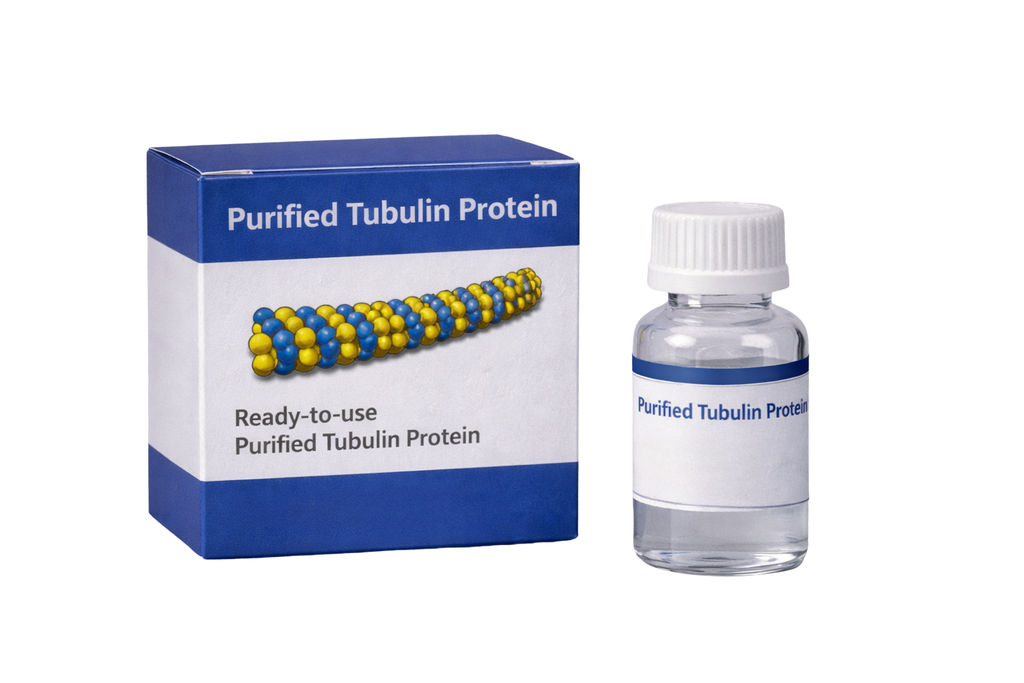 Alpha Tubulin N-Acetyltransferase 1 (2-236) protein (Human recombinant)