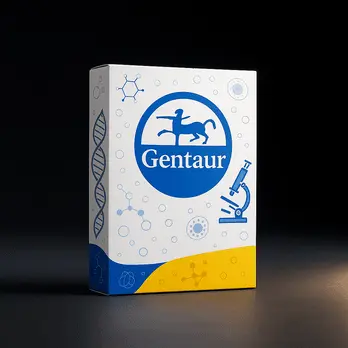 [FM-IRC-T-EL-R] Gentaur iSWAB-Respiratory Tract Sample Collection Media-Extraction Less Collection Device Rack, 800ul x 50; FDA Approved (1 rack) - 1 rack