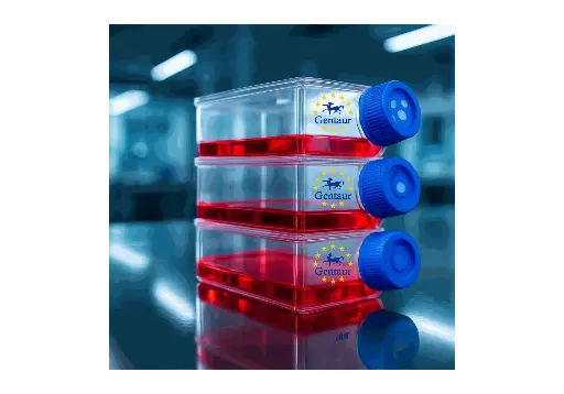 [GEN-CSI083Rb01-500k] Primary BMMSCs Cell, Rabbit