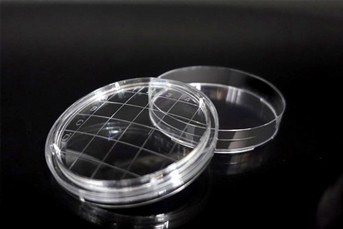 [GEN-NST-722011] 65mm Polystyrene RODAC Dish With Convex Bottom And Grid Lines